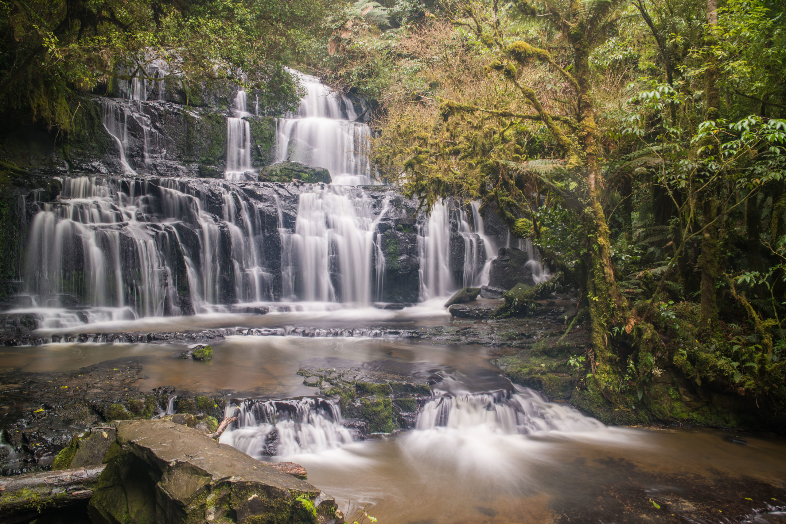 Discover The Catlins: continue to discover local favourites along the ...